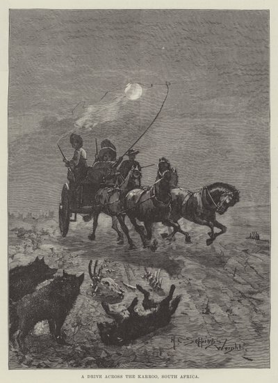 A Drive Across the Karroo, South Africa by Henry Charles Seppings Wright